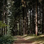 Sonnenhotel Hoher Hahn شفارتسنبرغ