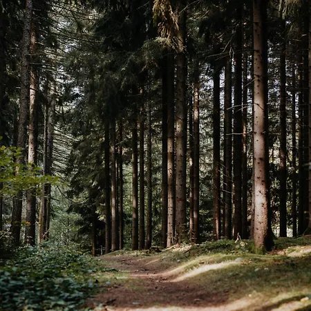 Sonnenhotel Hoher Hahn Schwarzenberg (Saxony)