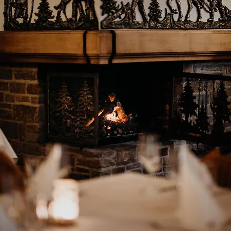 Ξενοδοχείο Sonnenhotel Hoher Hahn