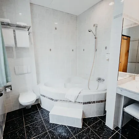 Hotel Sonnenhotel Hoher Hahn Schwarzenberg (Saxony)
