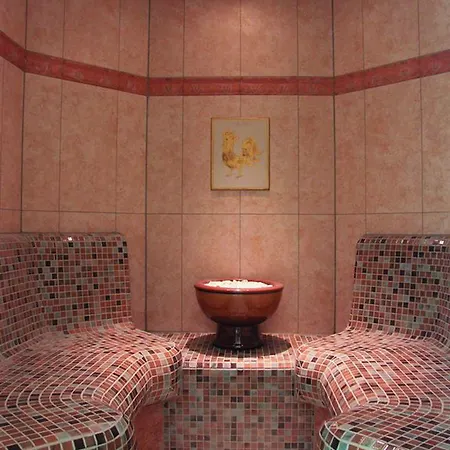 Sonnenhotel Hoher Hahn Schwarzenberg (Saxony)