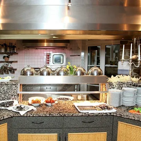 Sonnenhotel Hoher Hahn 4* Schwarzenberg (Saxony)