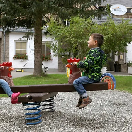 Hotel Sonnenhotel Hoher Hahn