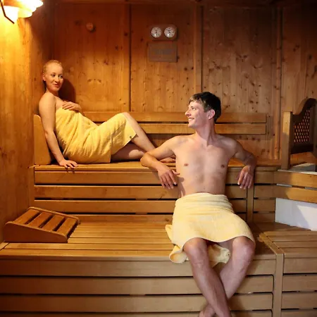 Sonnenhotel Hoher Hahn Schwarzenberg (Saxony)