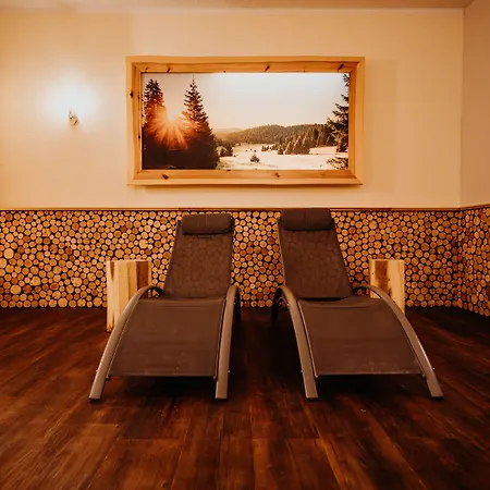 Hotel Sonnenhotel Hoher Hahn 4*