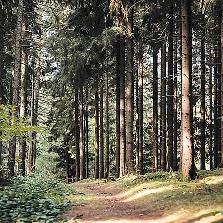Hotel Sonnenhotel Hoher Hahn Schwarzenberg (Saxony)