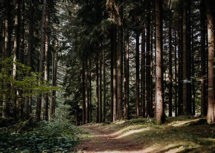 Sonnenhotel Hoher Hahn Schwarzenberg (Saxony)