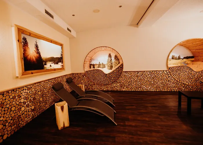 Sonnenhotel Hoher Hahn Schwarzenberg (Saxony)