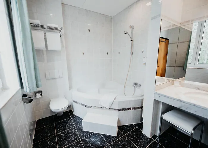 Hotel Sonnenhotel Hoher Hahn Schwarzenberg (Saxony)