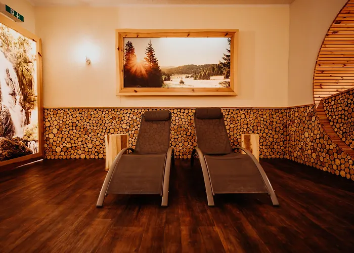 Hotel Sonnenhotel Hoher Hahn 4*